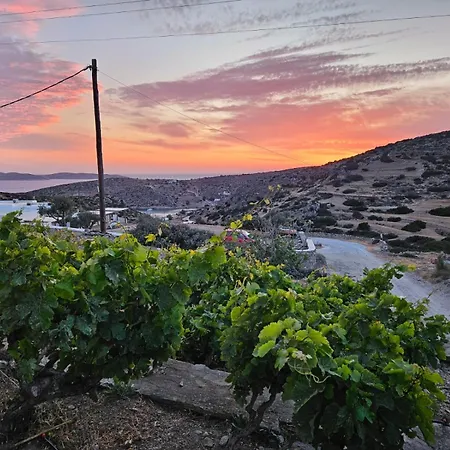 Oda ve Kahvaltı Ailouros Summer Schoinoussa