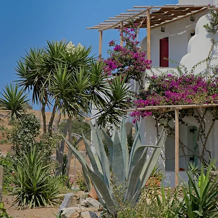 Ailouros Summer Oda ve Kahvaltı