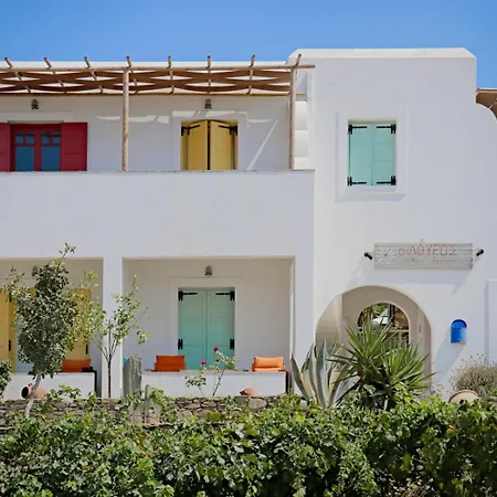 Ailouros Summer Oda ve Kahvaltı