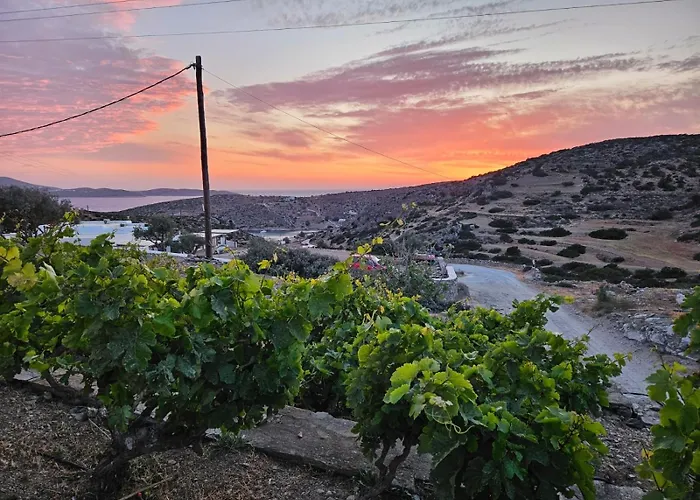 Bed & Breakfast Ailouros Summer Schoinoussa