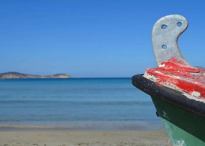 Ailouros Summer Schoinoussa