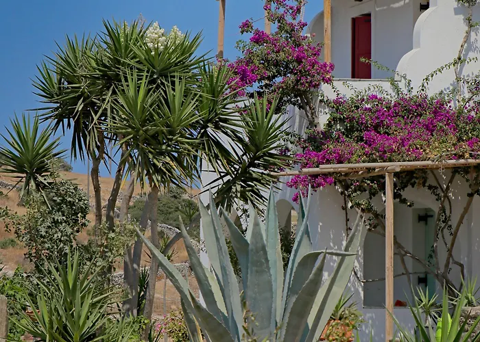 Ailouros Summer Bed & Breakfast