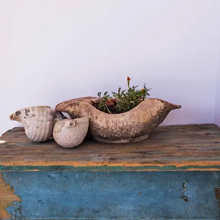 Ailouros Summer Schoinoussa