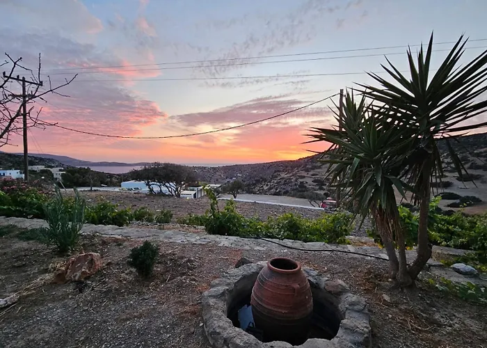 Ailouros Summer Σχοινούσα