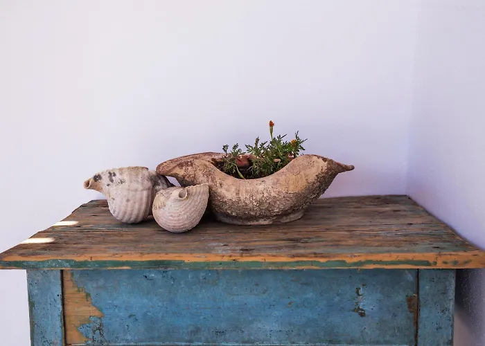 Ailouros Summer Σχοινούσα